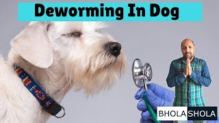 Deworming  Dewormed  Deworm  In Dogs  Puppys  Bhola Shola [upl. by Nnahsal]