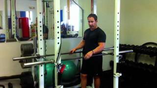 The BEST Way to do Triceps Dips on Parallel Bars [upl. by Sueahccaz]