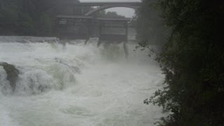 Hochwasser Traun Traunfall [upl. by Yelrihs]