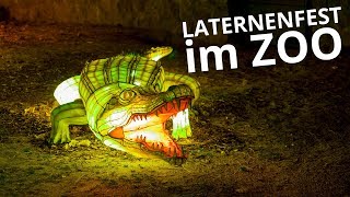 es leuchtet überall  Laternenfest im Zoo HalleSaale [upl. by Bucher]