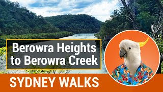 BEROWRA HEIGHTS  Bush Walk to Berowra Creek [upl. by Baiel397]