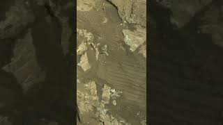 Som ET  65  Mars  Perseverance Sol 690  Video 1 This image was acquired on Jan 28 2023 Sol 690 NASA Images httpsmarsnasagovmars2020multimediarawimagesordersol descampperpage100amppage0ampmissionmars2020ingenuityampbeginsol690ampendsol690 Audio Som ET  65  Mars Credit NASAJPLCaltech nasa mars curiosity perseverance marte марс मंगलग्रह المريخ ดาวอังคาร مریخ 火星 [upl. by Horace]