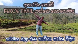 අතරමං නොවී Pekoe Trail යන්නෙ කොහොමද  How to use quotwikilocquot App [upl. by Zertnom711]