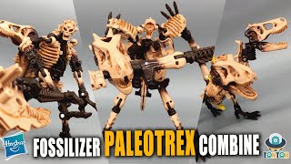 Transformer Kingdom Fossilizer Paleotrex Combine 3 Modes [upl. by Marla791]