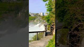 Rheinfall Schaffhausen 🇨🇭Switzerland ytshorts abba waterfall rheinfall [upl. by Adnuahsal]