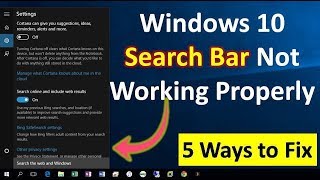 How to Fix Search Bar Not Working in Windows 1110 [upl. by Aba]