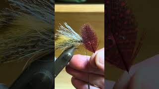 SKAVENGER Sculpin Streamer  flytying flyfishing shorts [upl. by Navonod]