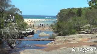 Stunning Walk to Wattamolla  Through Sydneys Royal National Park [upl. by Omle]