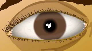 Animated eye exercises to improve your vision [upl. by Nosiddam]