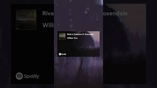 Rival amp Cadmium ft Rosendale  Willow Tree Letra Español rival cadmium rosendale willowtree [upl. by Ariella]