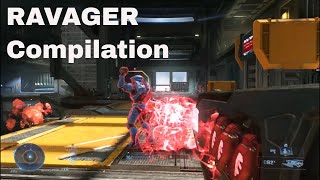 RAVAGER Compilation  Halo Infinite [upl. by Giess]