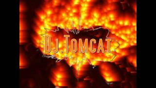 Oranje mix 2010  Dj Tomcat  part 2 [upl. by Zaob]