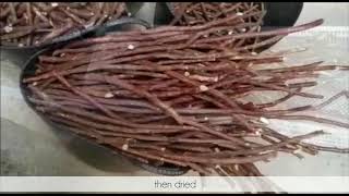 Licorice root culture [upl. by Fred]