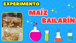 Experimento Maíz bailarín Ciencia para niños [upl. by Hardej557]