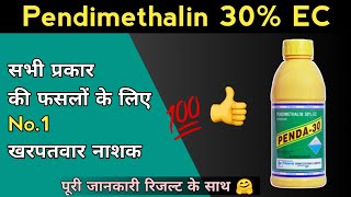 Pendimethalin 30 EC Herbicide  Pre Emergence Herbicide  सभी प्रकार की फ़सलो मे घास नहीं उगने देगी [upl. by Holder]