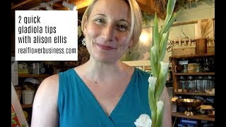 2 Quick Gladiola Tips [upl. by Cordova871]