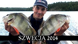 Wędkarstwo spinningowe  Wędkowanie w Szwecji 2014  Okonie i szczupaki na spinning [upl. by Atsyrt981]