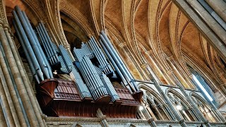 Organ Recital Richard McVeigh [upl. by Silrak]