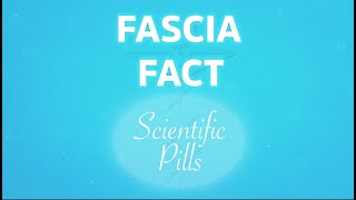 FASCIA FACT 1️⃣8️⃣  English version [upl. by Lebasiairam]