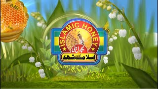 Islamic Honey Center is Providing 100 Pure and Organic Honey Products from last 30 Years [upl. by Zoes271]