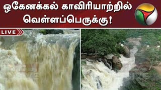 Live Report Flooding in the Hogenakkal Falls  HogenakkalFalls Rainfall Water [upl. by Aikram]