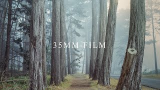 35MM FILM Photography in the Foggy Woods [upl. by Anaibaf854]