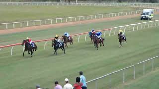 Mareeba 20240526 Race 3 [upl. by Terryn]