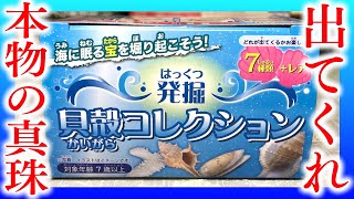 海に眠る宝を掘る！狙いは大当たり！本物の真珠！発掘 貝殻コレクション 開封レビュー【PART4】 [upl. by Damian971]