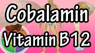 What Is Cobalamin Vitamin B12  Functions Benefits Of Foods High In Cobalamin Vitamin B12 Per Day [upl. by Adrahc]