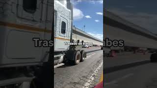 Traslado de trabes transporte trailer trabes trasladodetrabes rentadetrailer plataforma [upl. by Unam832]