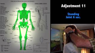 KST Chiropractic Adjustment Step By Step [upl. by Golliner]