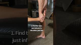 Ankle Joint Mobilization Posterior Talar Glide anklepain physicaltherapy [upl. by Auberon751]