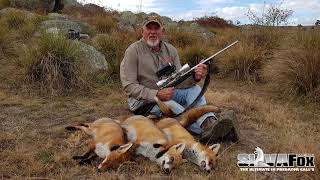 Fox Hunting In the New England with the Silva Fox Whistle and Ron Kiehne [upl. by Luz864]