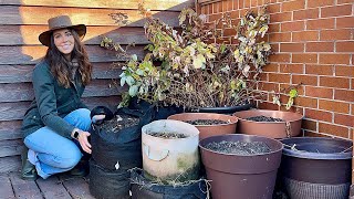 Overwintering Potted Plants🪴 I Use A Few Different Methods [upl. by Milah]