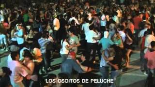 LOS OSITOS DE PELUCHE EN VIVO 01 26 12 15 [upl. by Artenal147]