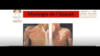 ANATOMIE FMPM MYOLOGIE DE L’ÉPAULE [upl. by Adrianna]