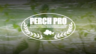 PERCH PRO 10 – TRAILER [upl. by Findlay]