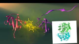 Protein test biuret test biuret principle [upl. by Abernon573]