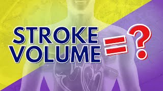 What Stroke Volume is and How to Calculate it [upl. by Ttehr124]