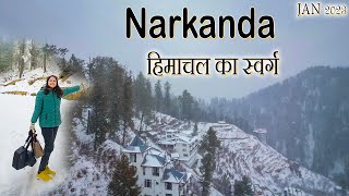 Narkanda  Most Beautiful Place Near Shimla Kufri HimachalTethys Himalaya NarkandaSnowfall 2023 [upl. by Yeslah]