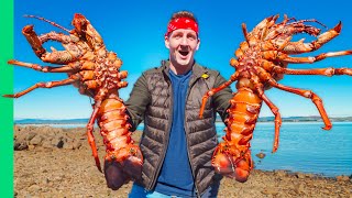 Australia’s GIANT Rock Lobsters Hand Caught Tasmanian Seafood [upl. by Whitaker]