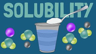 How Solubility and Dissolving Work [upl. by Atiruam413]