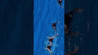 Cruise 7 islands Lefkada Greece pitarfoto vloggingcamera lefkada greece pitarfoto nidri [upl. by Dranel]