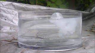 Alkaline Earth Metals In Water  Interesting Chemical Reaction  SCIENCE [upl. by Rayna]