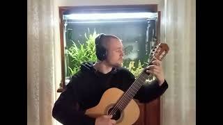 A gift of Thistle Braveheart soundtrack Classical guitar cover [upl. by Bernita]