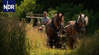 Bullerbü in Mecklenburg  die nordstory  NDR Doku [upl. by Langille]