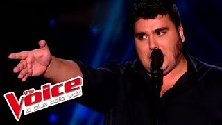 Jacques Brel  Ces gens là  Yoann Launay  The Voice France 2015  Blind Audition [upl. by Abbi]