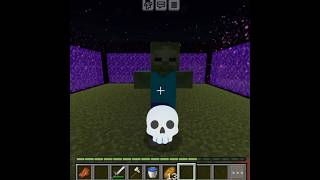 Safest House in Minecraft 💀 minecraft short [upl. by Adamski149]