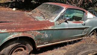 1967 Mustang 390 GT Fastback Barn Find Parked Since 1973 Price Revealed [upl. by Lemak]