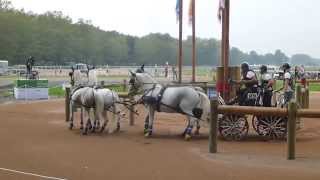 Lane Dick GBR CH M A4 Alltech FEI WEG Caen Normandy FRA 2014 Marathon O 1 06 09 2014 [upl. by Yann]